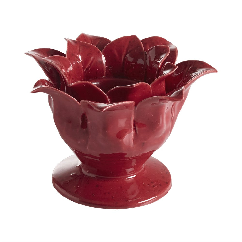 Ljuslykta shelly amaryllis